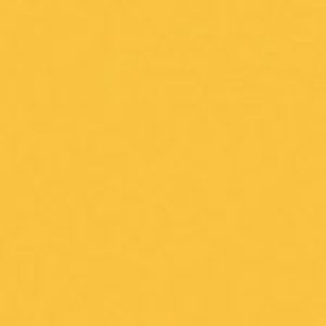 SANDERSON PAINT EMPIRE GOLD  77